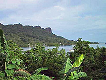 ミクロネシア 連邦 ポンペイ 島.jpg